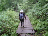 ���ғ�����̉���͖�P���ԁB